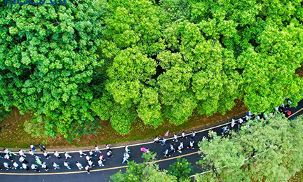 凝心同行，聚力共赢丨开云官方端网站登录入口-开云(中国)2024年松山湖环湖徒步行记
